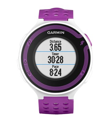 Garmin Forerunner 220 фото 1